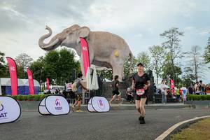 BIB: 
                            <button type="button" onclick="openModal(26528692)" class="btn btn-primary btn-sm float-right btn-popup" data-toggle="modal" data-target=".modal-high-quality">
                        <i class="fas fa-shopping-cart"></i> Add to Cart
                    </button>
                                            <button type="button" onclick="isThisMe(26528692, true)" class="btn btn-success btn-sm float-right btn-popup btn-isme hidden" data-toggle="tooltip" data-placement="bottom" title="นี่คือรูปของคุณใช่ไหม คลิกที่นี่เพื่อเอาเข้าอัลบั้ม">
                        <i class="fas fa-plus"></i> Add to album
                    </button>
                    <button type="button" onclick="isThisMe(26528692, false)" class="btn btn-warning btn-sm float-right btn-popup btn-isnotme hidden">
                        <i class="fas fa-ban"></i> Remove from album
                    </button>